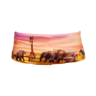 Mens Sidewinder Trunks - Circle Of Life